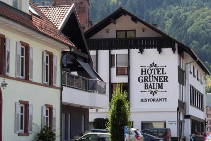 Hotel Gruener Baum - Hotel Im Murgtal, Schwarzwald فايزينباخ المظهر الخارجي الصورة