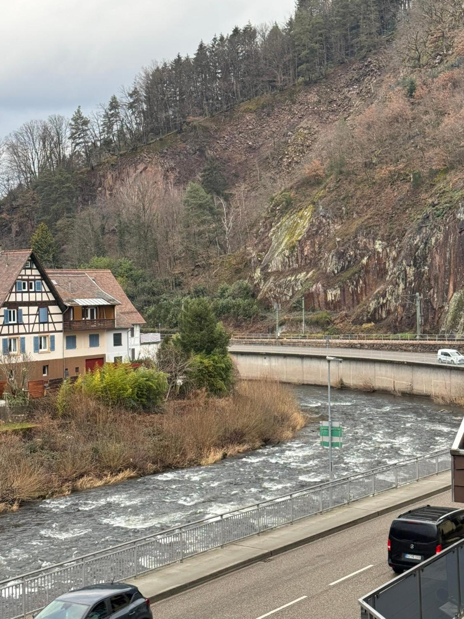 Hotel Gruener Baum - Hotel Im Murgtal, Schwarzwald فايزينباخ المظهر الخارجي الصورة