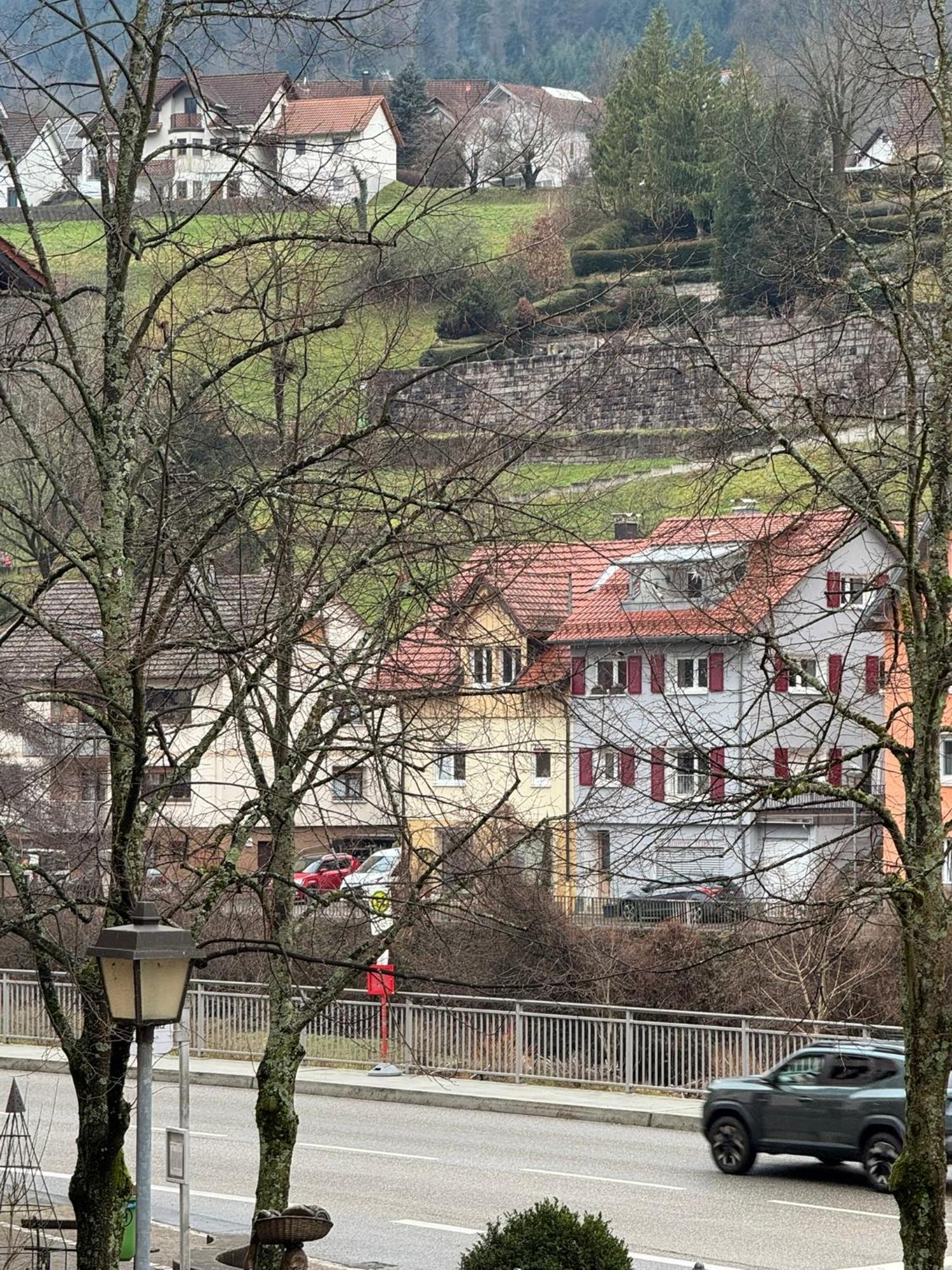 Hotel Gruener Baum - Hotel Im Murgtal, Schwarzwald فايزينباخ المظهر الخارجي الصورة